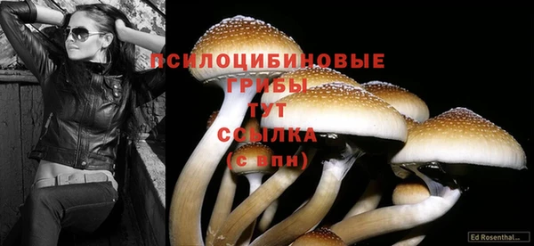 ГАЛЛЮЦИНОГЕННЫЕ ГРИБЫ Алексеевка