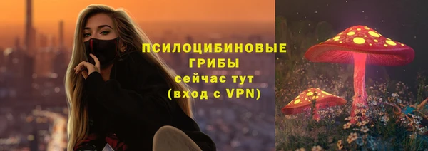 ГАЛЛЮЦИНОГЕННЫЕ ГРИБЫ Алексеевка
