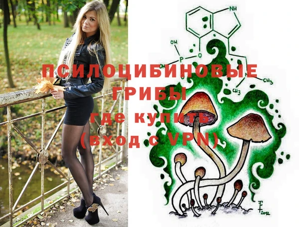 гидра Алексин