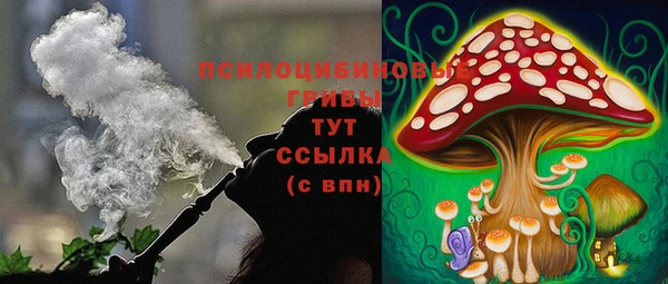 ГАЛЛЮЦИНОГЕННЫЕ ГРИБЫ Алексеевка