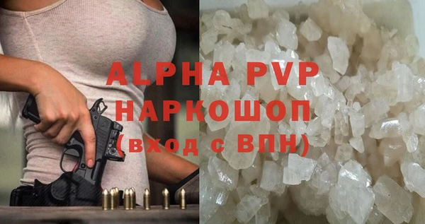 гидра Алексин