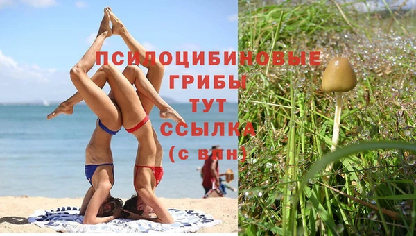 тгк Алзамай