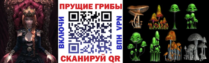 Галлюциногенные грибы Cubensis  Нижняя Салда 